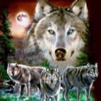 What Happened To Ordinary Mates?